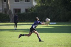 IMG_5291