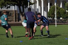 IMG_6146