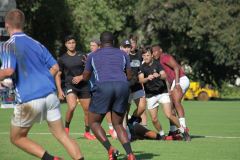 IMG_6148