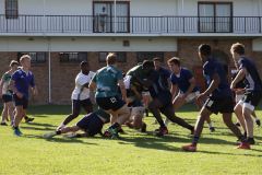IMG_6211