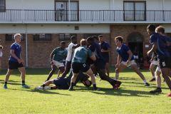 IMG_6212