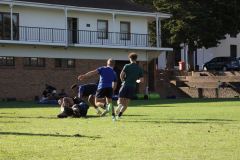 IMG_6236