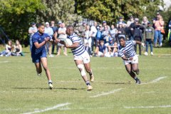 MEP_9619