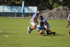 IMG_2610