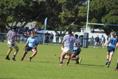 IMG_2963