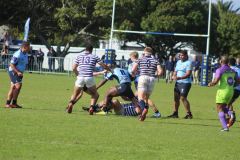 IMG_2965