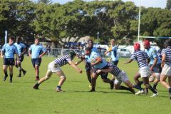 IMG_3010
