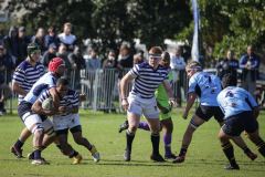 SYMONS_SACS_1stXV_MILNERTON_30JULY-33-of-102