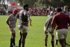 SYMONS_SACS_VS_PAUL_ROOS_2ndXV_14MAY-116-of-152