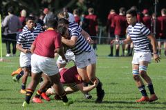 SYMONS_SACS_VS_PAUL_ROOS_2ndXV_14MAY-35-of-152