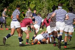 SYMONS_SACS_VS_PAUL_ROOS_2ndXV_14MAY-38-of-152