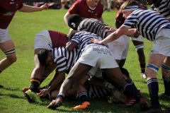 SYMONS_SACS_VS_PAUL_ROOS_2ndXV_14MAY-53-of-152