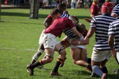 SYMONS_SACS_VS_PAUL_ROOS_2ndXV_14MAY-56-of-152