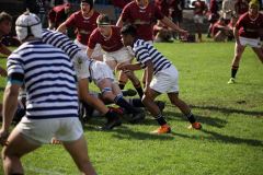 SYMONS_SACS_VS_PAUL_ROOS_2ndXV_14MAY-59-of-152