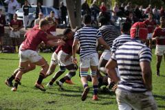 SYMONS_SACS_VS_PAUL_ROOS_2ndXV_14MAY-62-of-152