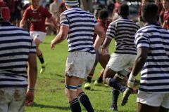 SYMONS_SACS_VS_PAUL_ROOS_2ndXV_14MAY-64-of-152