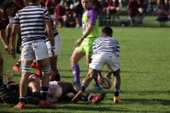 SYMONS_SACS_VS_PAUL_ROOS_2ndXV_14MAY-69-of-152