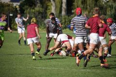 SYMONS_SACS_VS_PAUL_ROOS_2ndXV_14MAY-70-of-152