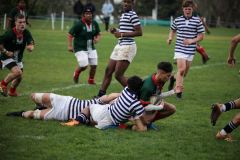 SYMONS_SACS_3rdVX_CBHS_29JULY-176-of-337