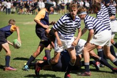 SYMONS_U14A_19MAR-3-of-108