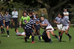 IMG_6974
