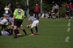 IMG_6982