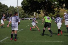 IMG_7130