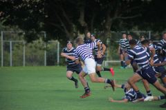 IMG_7313
