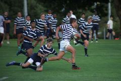 IMG_7547