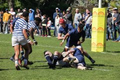 SACS_VS_BISHOPS_SYMONS_19_08_2023-21-of-316
