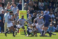 SACS_VS_BISHOPS_SYMONS_19_08_2023-31-of-316