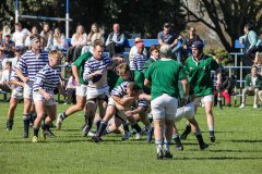 SACS_VS_BISHOPS_SYMONS_19_08_2023-194-of-316