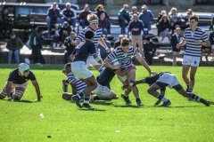 SACS_vs_BOSCH_SYMONS_13_05_2023-27-of-109