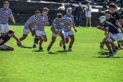 SACS_vs_BOSCH_SYMONS_13_05_2023-43-of-109