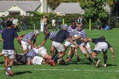 SACS_vs_BOSCH_SYMONS_13_05_2023-67-of-109