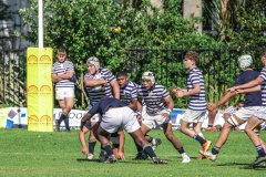 SACS_vs_BOSCH_SYMONS_13_05_2023-95-of-109