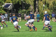 SACS_vs_BOSCH_SYMONS_13_05_2023-18-of-107