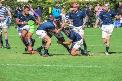 SACS_vs_BOSCH_SYMONS_13_05_2023-22-of-107