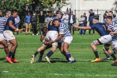 SACS_vs_BOSCH_SYMONS_13_05_2023-26-of-107