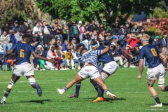 SACS_vs_BOSCH_SYMONS_13_05_2023-32-of-107