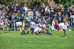 SACS_vs_BOSCH_SYMONS_13_05_2023-33-of-107