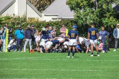 SACS_vs_BOSCH_SYMONS_13_05_2023-40-of-107
