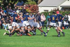 SACS_vs_BOSCH_SYMONS_13_05_2023-46-of-107