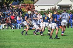 SACS_vs_BOSCH_SYMONS_13_05_2023-51-of-107