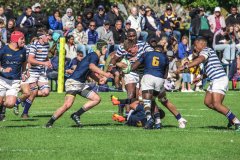 SACS_vs_BOSCH_SYMONS_13_05_2023-57-of-107