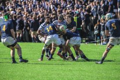 SACS_vs_BOSCH_SYMONS_13_05_2023-71-of-107