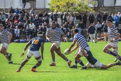 SACS_vs_BOSCH_SYMONS_13_05_2023-83-of-107