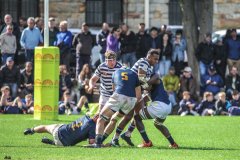 SACS_vs_BOSCH_SYMONS_13_05_2023-94-of-107