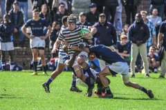 SACS_vs_BOSCH_SYMONS_13_05_2023-97-of-107