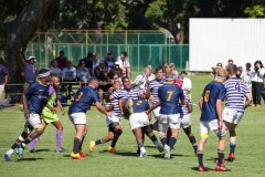 SYMONS_RONDEBOSCH_9APRIL_2022-61-of-79